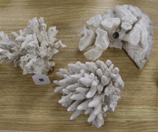 Three pieces of coral